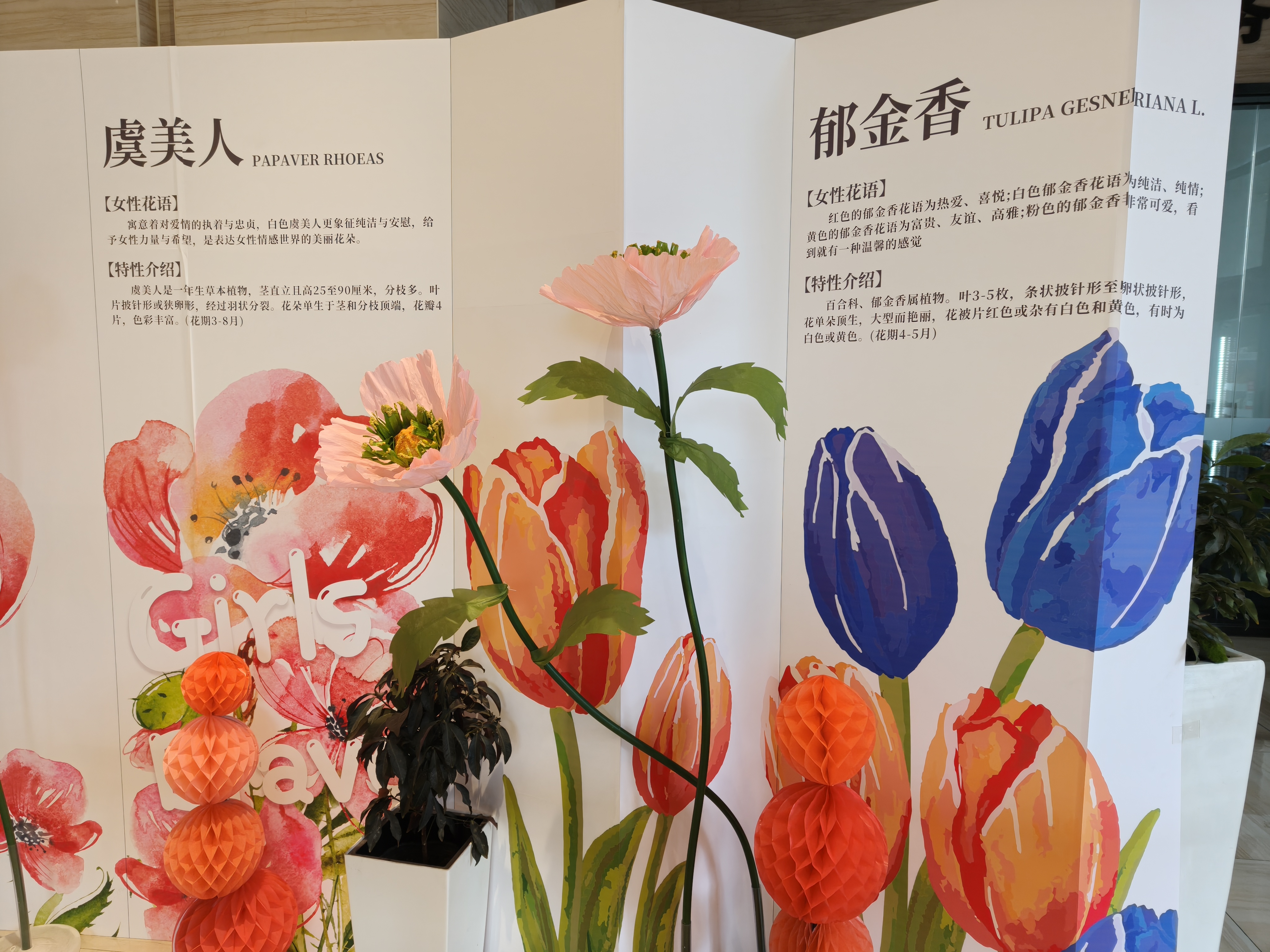 微信圖片_20250307131419.jpg